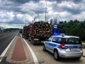 ciężarówka z drewnem na poboczu drogi a obok niej policyjny radiowóz