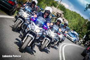 kolumna motocyklistów składających się z umundurowanych policjantów ruchu drogowego