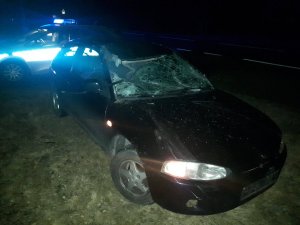 Uszkodzony samochód po zderzeniu z łosiem - rozbita szyba czołowa, znaczne wgniecenia maski i dachu pojazdu