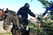 zdjęcie przedstawia policjanta, który siedzi na koniu i dekoruje choinkę elementami odblaskowymi