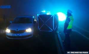 Policjanci wykonujący czynność na miejscu wypadku drogowego