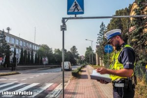 Przejście dla pieszych przy którym stoi umundurowany policjant ruchu drogowego