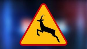 znak ostrzegawczy w kształcie żółtego trójkąta z czerwona obwódka, na którym jest czarna sylwetka jelenia