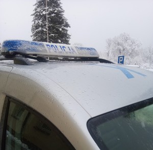 Dach radiowozu policyjnego, w oddali widać śnieg.