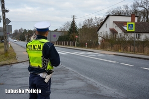 policjant ruchu drogowego w umundurowaniu i żółtej kamizelce stoi przy drodze